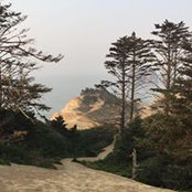 Kevin Lamb's photo