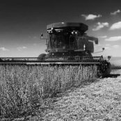 Josh Harris's photo