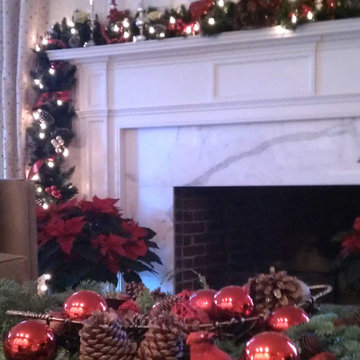 Christmas Decorations and Outdoor Lights
