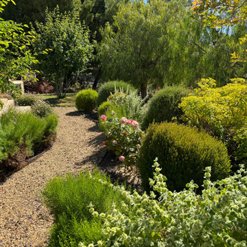 La Ciotat (Bouches du Rhône) - Jardin méditerranéen en restanques