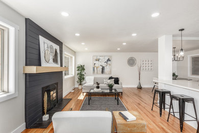 Living room - modern living room idea in Denver