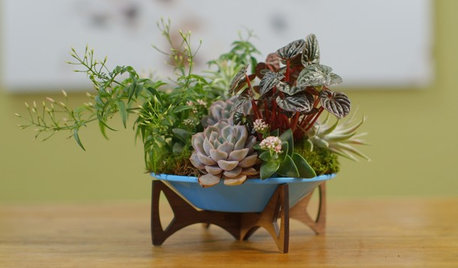 Houzz TV: Create a Living Arrangement for Your Tabletop