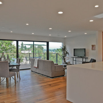 South Park Contemporary Remodel