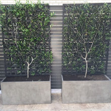 Outdoor Wood Wall