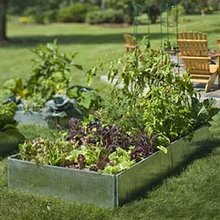 Gardening
