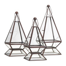 Terrarium