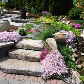 TJB-INC Display Gardens & Ponds - 12 Crestway Hamden