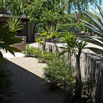 New 1-Year-Old Garden
