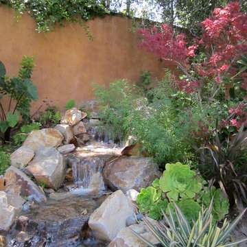 Mediterranean Garden