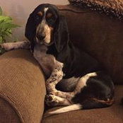 Amanda Heuer's photo