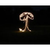 Nicholas Dalziel's photo