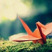 Foto de ly08096