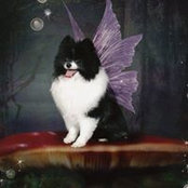 sharon lemon's photo