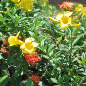 Margo Schmitt's photo