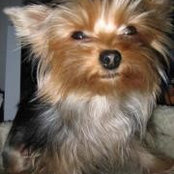 Debbie Wessling's photo