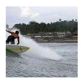 Mike Powell's photo