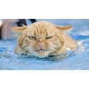 Auberrie Johnson's photo