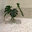 Palmetto Tile Distributors
