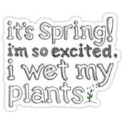 Barbara Wright's photo