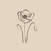 Everyday Poppy's photo