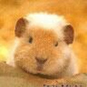 Christopher Stanberry's photo