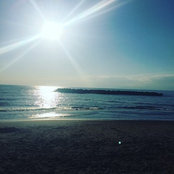 Aimee Monaco's photo