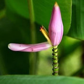 Natalie Widjaja's photo