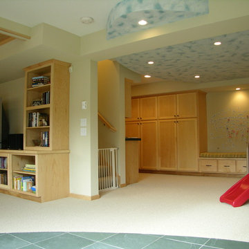 Basement Remodel