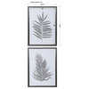 Silver Ferns Framed Prints, Set of 2