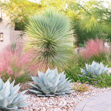 Front Landscaping