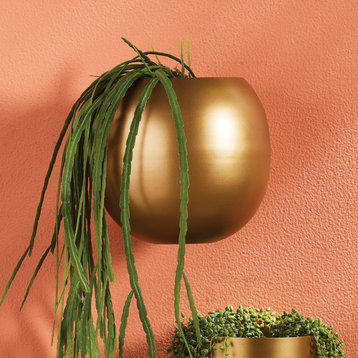 Modern Minimalist Gold Sphere Metal Wall Planter Round Brass Finish 10 in