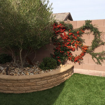 Pyracantha on a diamond trellis