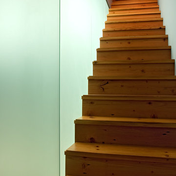 Stair to the roof of reclaimed roof joists.