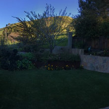 before and after, backyard