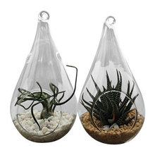 plant holder