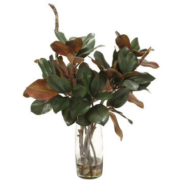 Waterlook® Magnolia Foliage and Branches in Glass Cylinder