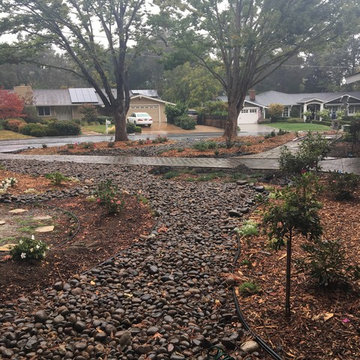 Front Yard Remodel