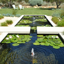 Pond