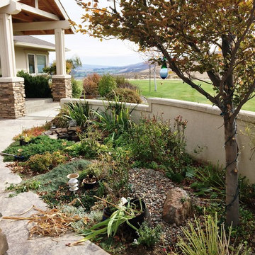 Small Koi Pond in Limited Space - The Site