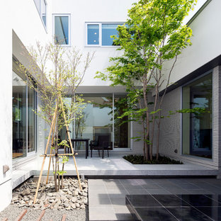 札幌のコンテンポラリースタイルのおしゃれな中庭のテラス (日よけなし) の写真