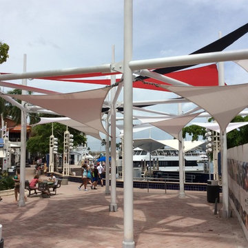 SAILS
