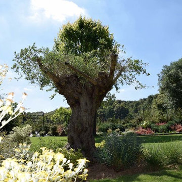 Jardin Zen