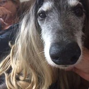 Laura Clarke's photo