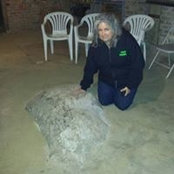 Foto von Susan Beber