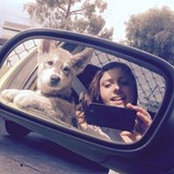 Ness Stoikos's photo