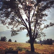 Stefan Kallenberg's photo