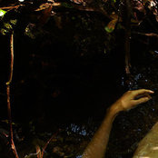 Neda Abghari's photo