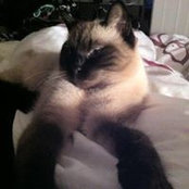Sabryna Bolduc's photo