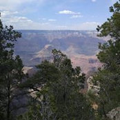 Cheryl Baumeister's photo