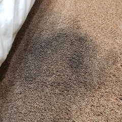 Carpet Cleaning Lyneham